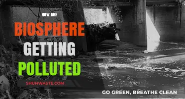 Human Impact: Polluting Our Biosphere
