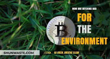 Bitcoin's Environmental Impact: High Energy Costs and Carbon Footprint