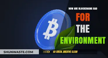 The Environmental Impact of Blockchains: Uncovering the Hidden Costs