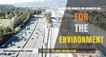 Bridges and Highways: Uncovering Their Hidden Environmental Impact
