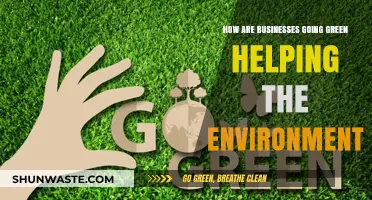 Sustainable Business Practices: How Going Green Benefits Our Planet