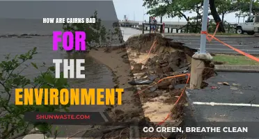 Cairns' Environmental Impact: Harmful Effects on Nature and Ecosystems