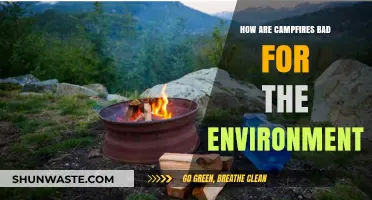 Campfires' Hidden Costs: Environmental Impacts and Sustainable Alternatives