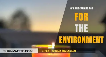 Candles' Hidden Environmental Impact: Pollution, Waste, and Unsustainable Practices