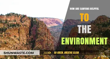 Canyons: Nature's Vital Role in Environmental Health and Balance
