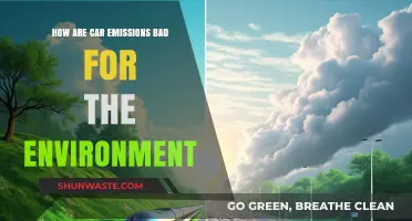 Car Emissions: Their Harmful Environmental Impact and Long-Term Consequences
