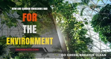 Carbon Emissions: Unraveling Their Devastating Impact on Our Environment