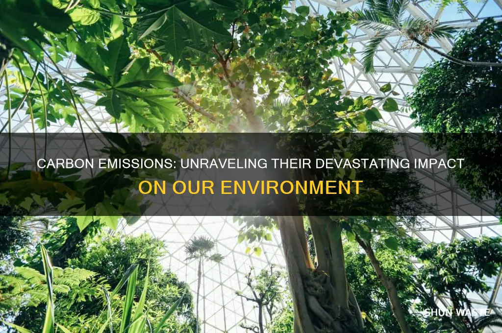how are carbon emissions bad for the environment