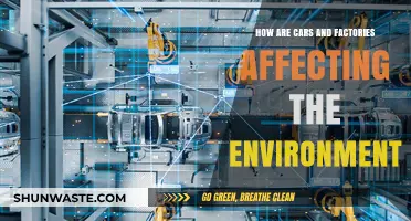 Cars and Factories: Their Environmental Impact and Sustainable Solutions