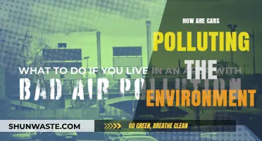 Cars: Environmental Impact and Pollution