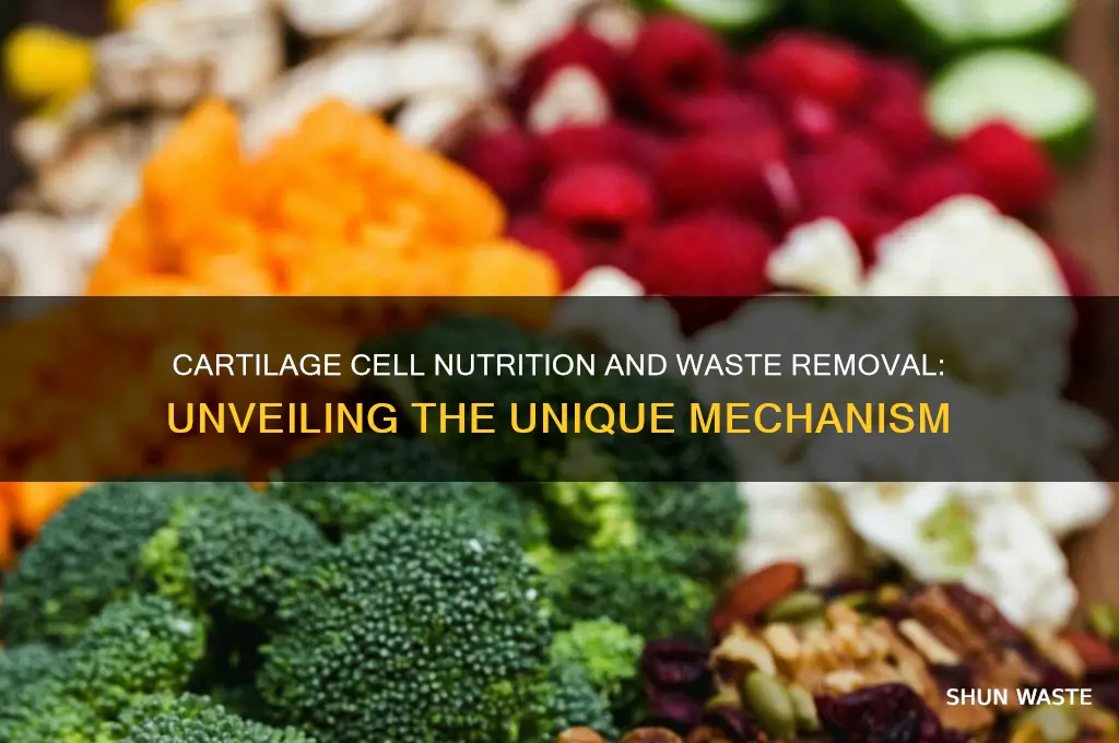 how are cartilage cells nourished and their wastes removed