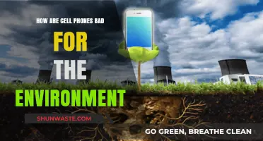 Cell Phones' Environmental Impact: Uncovering the Hidden Ecological Costs