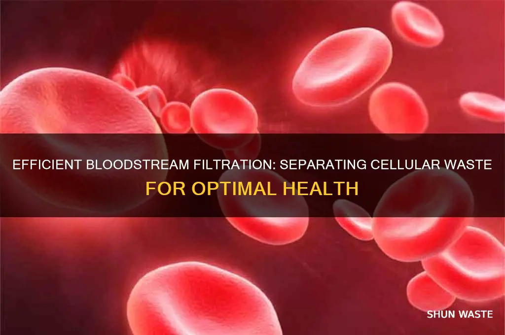 how are cellular waste products separated from the bloodstream