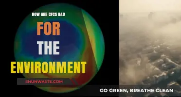 CFCs' Devastating Impact: Ozone Depletion, Climate Change, and Environmental Harm