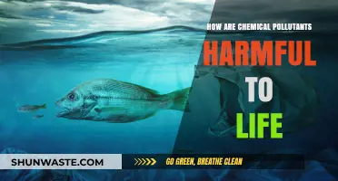 Chemical Pollutants: A Toxic Threat to Life