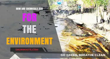 Toxic Impact: How Chemicals Harm Our Environment and Ecosystems