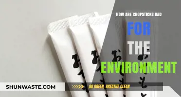 Chopsticks' Environmental Impact: Uncovering the Hidden Ecological Costs