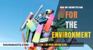 Cigarettes' Environmental Impact: Pollution, Deforestation, and Climate Change