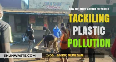Cities Unite: Global Strategies to Combat Plastic Pollution