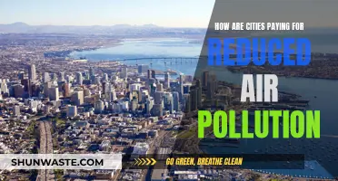 Cities' Strategies to Reduce Air Pollution: Funding Clean Air