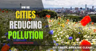 Innovative Strategies for Reducing Pollution in Urban Environments