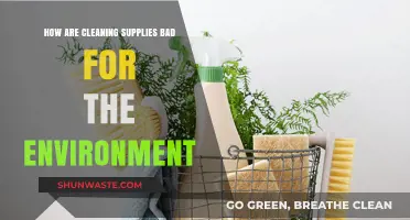 Eco-Friendly Alternatives: How Cleaning Supplies Harm Our Planet