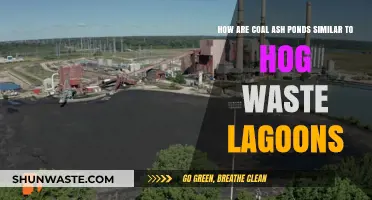 Coal Ash Ponds and Hog Waste Lagoons: Environmental Risks Compared