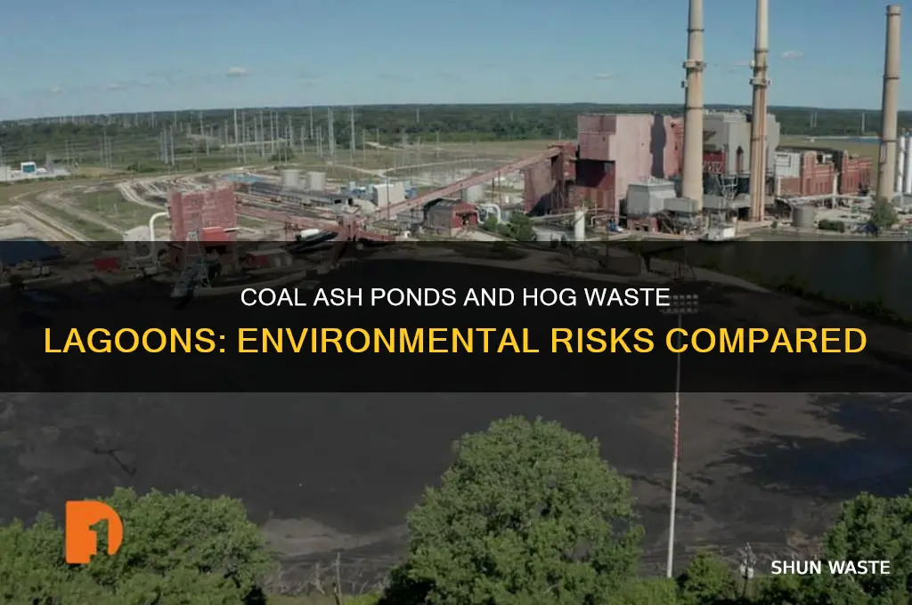 how are coal ash ponds similar to hog waste lagoons