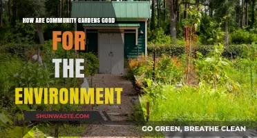 Community Gardens: Nurturing Biodiversity, Reducing Waste, and Greening Urban Spaces