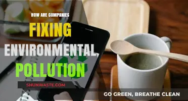 Mitigating Environmental Pollution: Strategies Adopted by Companies