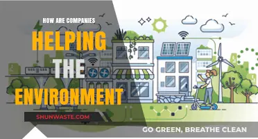 Sustainable Business Practices: How Companies Are Protecting Our Planet