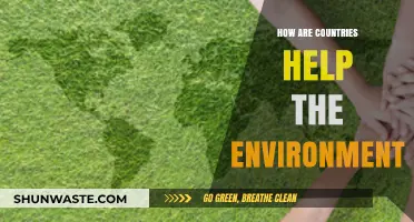 Global Green Efforts: How Nations Are Protecting Our Planet