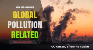 Covid-19: Pollution's Impact and Global Health