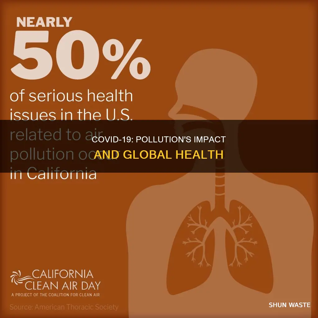 how are covid and global pollution related