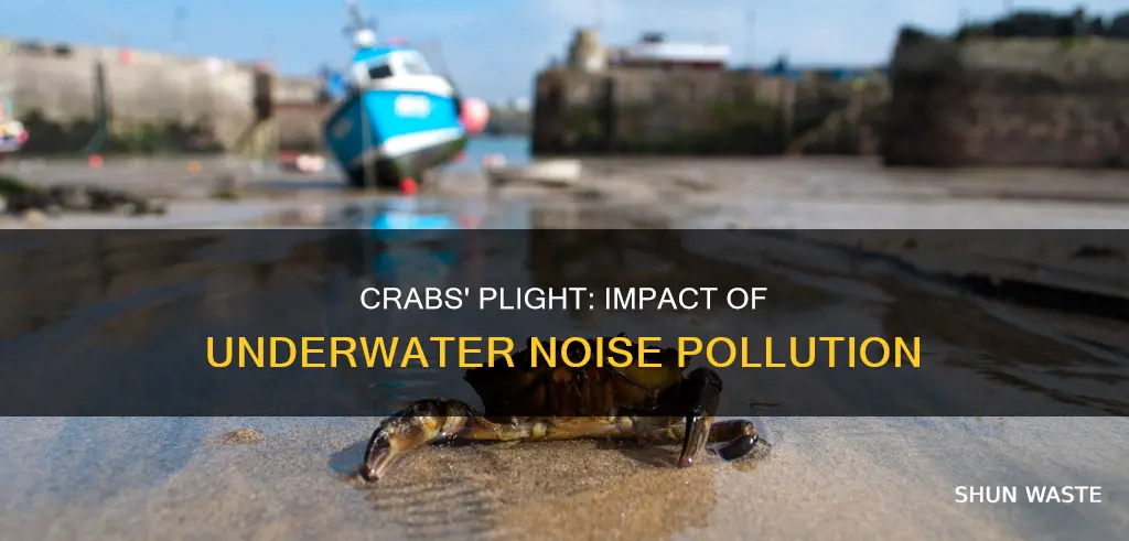 how are crabs affected by underwater noise pollution