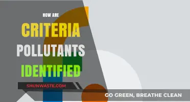 Understanding Criteria Pollutant Identification Methods