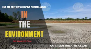 Daily Habits, Global Impact: How Our Lives Alter the Environment