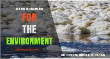 Detergents' Dark Side: Environmental Impact and Sustainable Alternatives