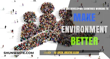Developing Nations' Green Revolution: Strategies for a Sustainable Future