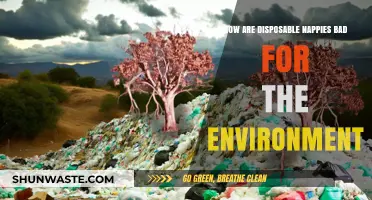 Disposable Nappies' Environmental Impact: A Growing Concern for Our Planet