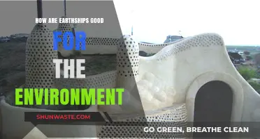 Earthships: Eco-Friendly Homes Revolutionizing Sustainable Living Naturally
