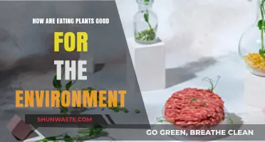 Eating Plants: A Sustainable Choice for a Greener, Healthier Planet