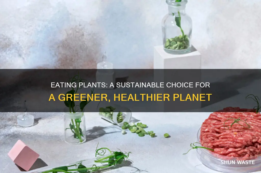 how are eating plants good for the environment