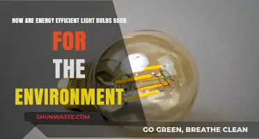 Eco-Friendly Lighting: How Energy-Efficient Bulbs Benefit Our Planet
