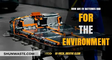 EV Batteries' Environmental Impact: Hidden Costs of Green Transportation