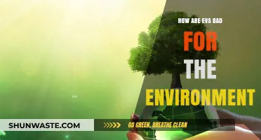 The Hidden Environmental Costs of Electric Vehicles Explained