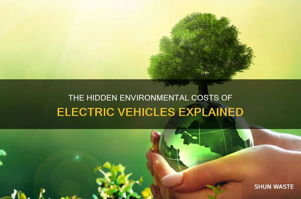 how are evs bad for the environment