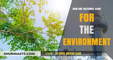 Eco-Friendly Manufacturing: How Factories Can Benefit the Environment