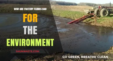 Factory Farms' Devastating Environmental Impact: Pollution, Deforestation, and Climate Crisis