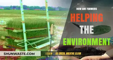 Sustainable Farming Practices: How Farmers Are Protecting Our Planet